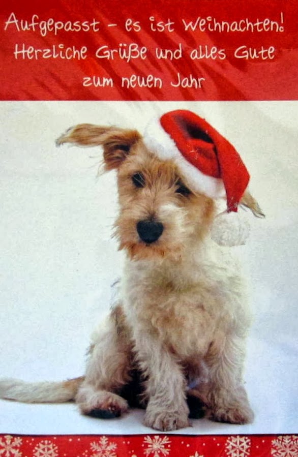 15 Weihnachtskarten Weihnachtskarte Postkarten Glückwunschkarten Hund