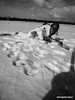 Kliknij by wejść http://lh5.googleusercontent.com/-nex5ciXEkYQ/UUlKWSy6F4I/AAAAAAAAKZc/cnU81k6ztlA/s144/saperski-saper-afganistan-1.jpg