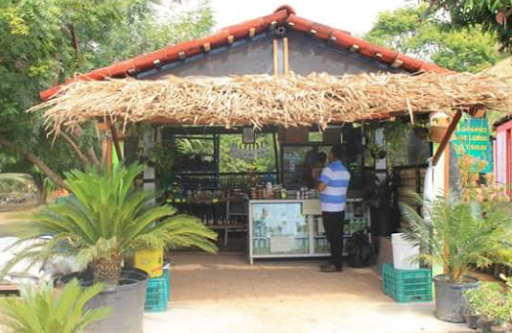 Jardin Botanico y Vivero, Carretera Tepic - San Blas, Navarrete, 63764 San Blas, Nay., México, Parque | NAY