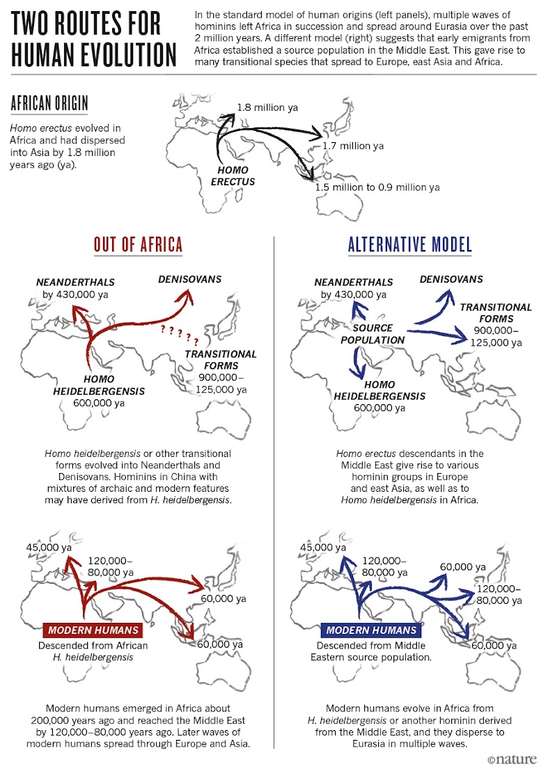 How China is rewriting the book on human origins How China is rewriting the book on human origins