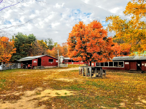 Farm «Flamig Farm», reviews and photos, 7 Shingle Mill Rd, West Simsbury, CT 06092, USA