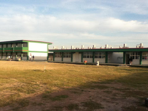 Colegio de Bachilleres del Estado de Tamaulipas Plantel 20, Canek, Integración Familiar, 87343 Matamoros, Tamps., México, Escuela preparatoria | TAMPS