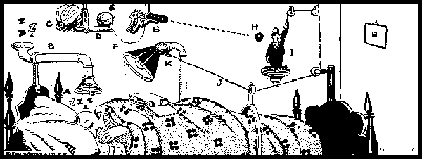 Rube Goldberg Cartoon