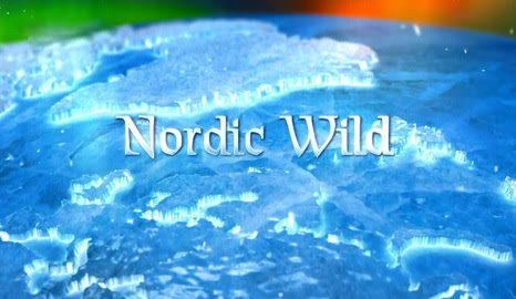 Dzika Skandynawia / Nordic Wild (2011) PL.TVRip.XviD / Lektor PL Dzika Skandynawia / Nordic Wild (2011) PL.TVRip.XviD / Lektor PL