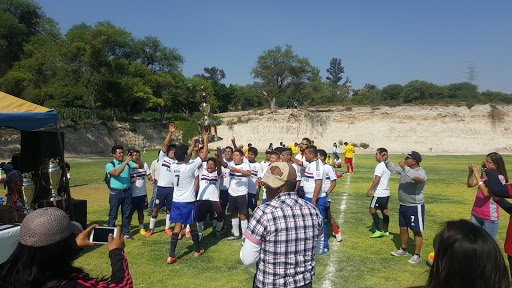 Liga De Futbol MEXICO 86, Calle 7 Sur 1106, Nicolás Bravo, 75790 Tehuacán, Pue., México, Programa de salud y bienestar | PUE