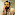 Sayyed