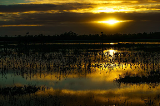 Wetland «Viera Wetlands», reviews and photos, 10001 N Wickham Rd, Melbourne, FL 32940, USA