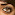 Shog