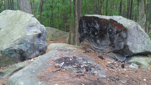 State Park «Lowell-Dracut-Tyngsborough State Forest», reviews and photos, Trotting Park Rd, Dracut, MA 01826, USA