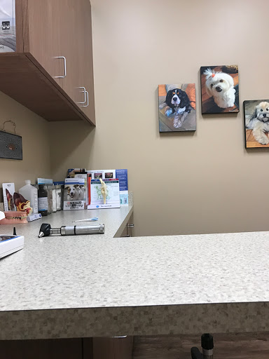 Veterinarian «Shadow Creek Veterinary Clinic», reviews and photos