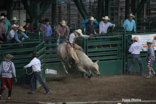Event Venue «Reno-Sparks Livestock Events Center», reviews and photos, 1350 N Wells Ave, Reno, NV 89512, USA