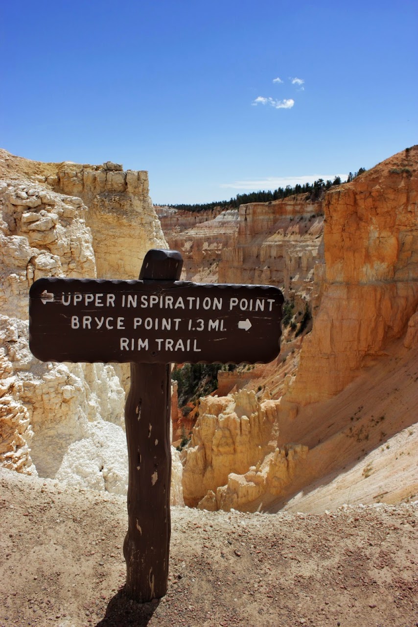 Día 11: Visita a Bryce y llegada a Zion - Parques nacionales del oeste de EEUU and more (37)