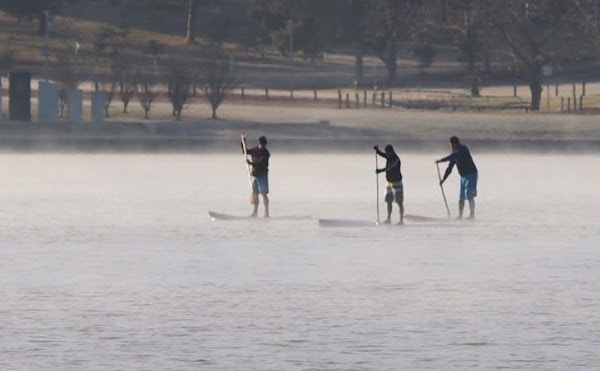 paddleboards on lake burley griffin