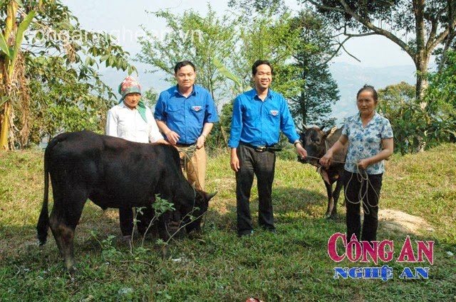 Tỉnh đoàn Nghệ An hỗ trợ đàn bò cho xã biên giới Đoọc Mạy (Kỳ Sơn)