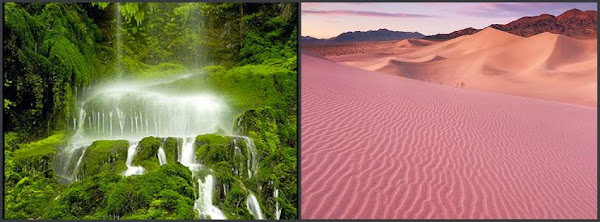 Why there is desert and rainforest here on Earth Image of Rain-forest versus Deserts
