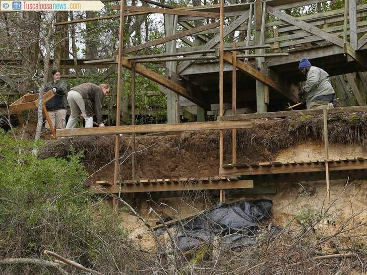 Artifacts at risk as Black Warrior River erodes soil at Moundville Artifacts at risk as Black Warrior River erodes soil at Moundville