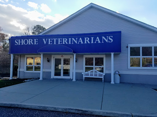 Animal Hospital «Shore Veterinarians North», reviews and photos