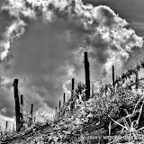 1 maggio 2014 Vesime. Loazzolo e Canelli - fotografia di Vittorio Ubertone