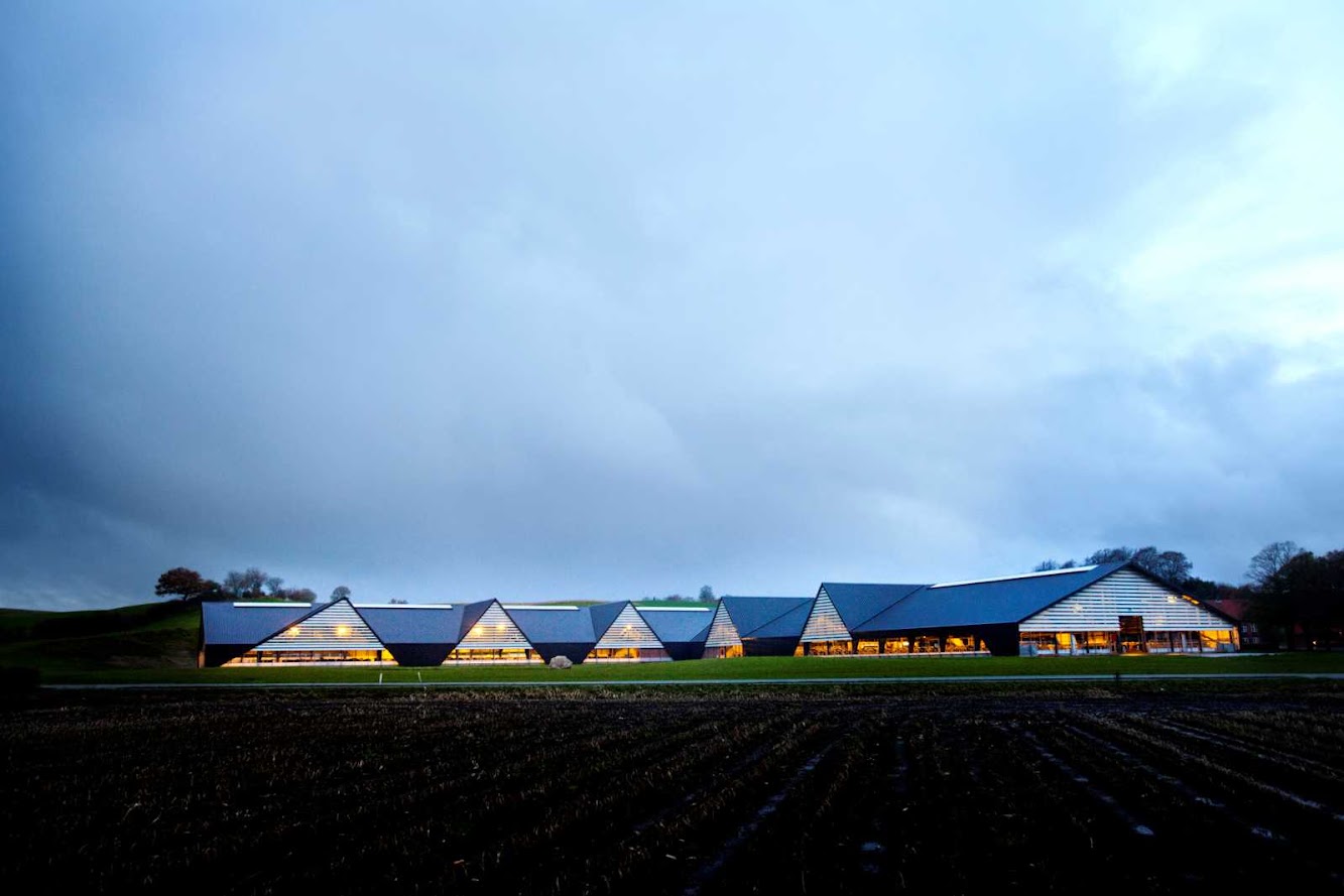 LUMO Architects