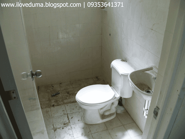 Dumaguete house for sale view of the toilet and bathroom nearing completion - Del Pilar picture
