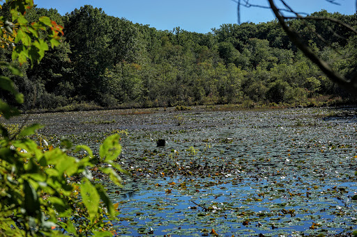 Nature Preserve «Cranberry Lake Preserve», reviews and photos, 1609 Old Orchard St, West Harrison, NY 10604, USA