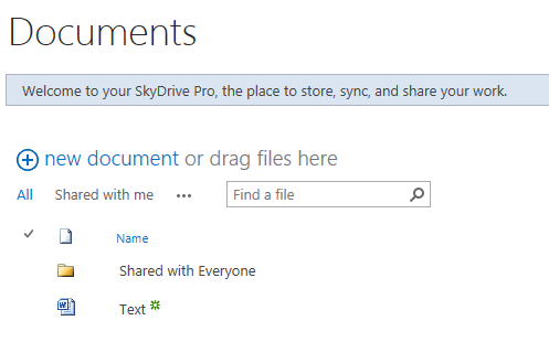SharePoint 2013 SkyDrive