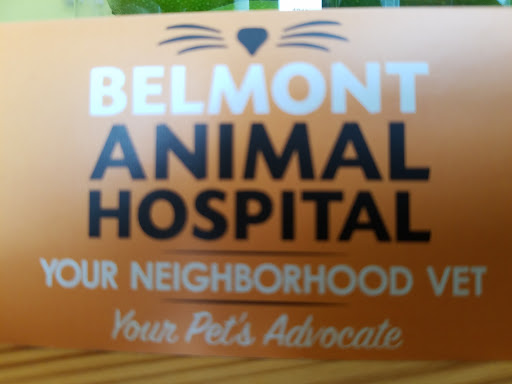 Veterinarian «Belmont Animal Hospital of Chicago», reviews and photos