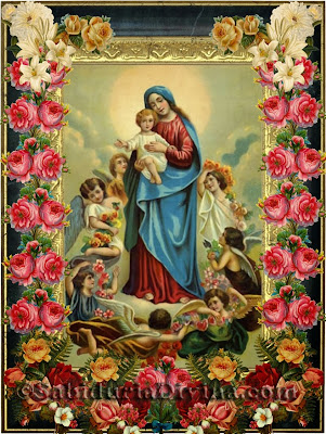 Con el Rezo diario del Rosario, sacarás al Diablo de tu familia (rezalo con el CORAZON y persevera...) Es fuente de Poder y Santidad.