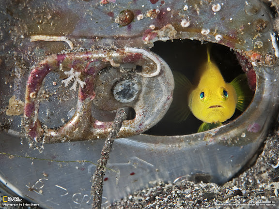  National Geographic