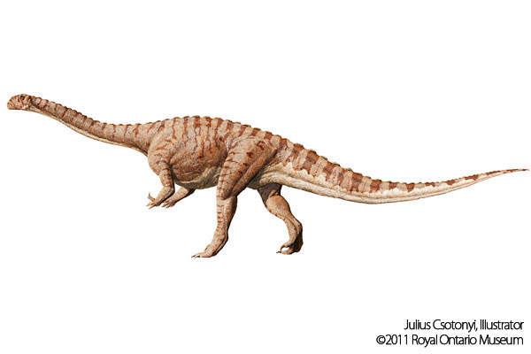 Cyrolophosaurus