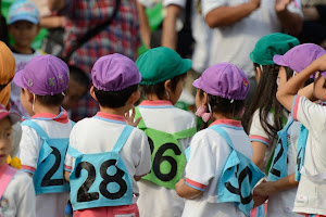 AF-S VR Zoom-Nikkor 70-300mm f/4.5-5.6G IF-ED : 300mm f/5.6 1/250秒 ISO100 DXクロップ