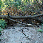 road's closed