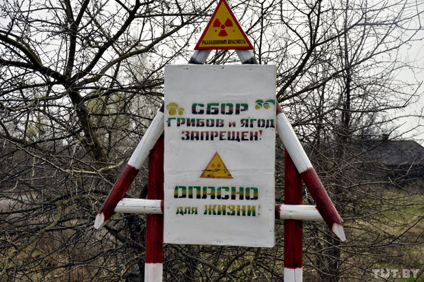 Физик из Гомеля, у которого был свой кабинет в Кремле: «Безопасного мирного атома не бывает» Физик из Гомеля, у которого был свой кабинет в Кремле: «Безопасного мирного атома не бывает»