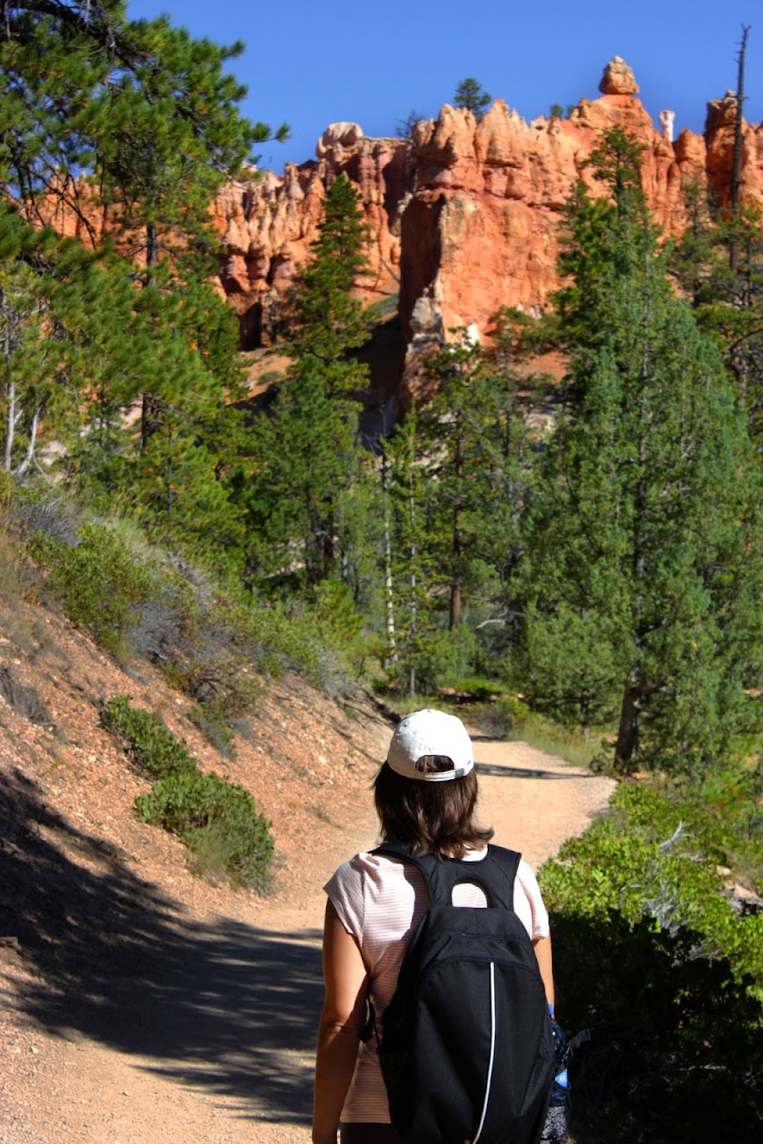 Día 11: Visita a Bryce y llegada a Zion - Parques nacionales del oeste de EEUU and more (18)