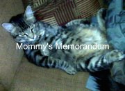 Sophee lounging