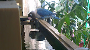 IMAG0409.jpg