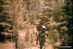 Kliknij by wejść http://lh5.googleusercontent.com/-ydSTL7pDgbQ/T7jxZqAyoDI/AAAAAAAAKIs/gdgSejWMCCc/s144/saperski-345-113.jpg