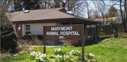Animal Hospital «Marymont Animal Hospital Inc», reviews and photos