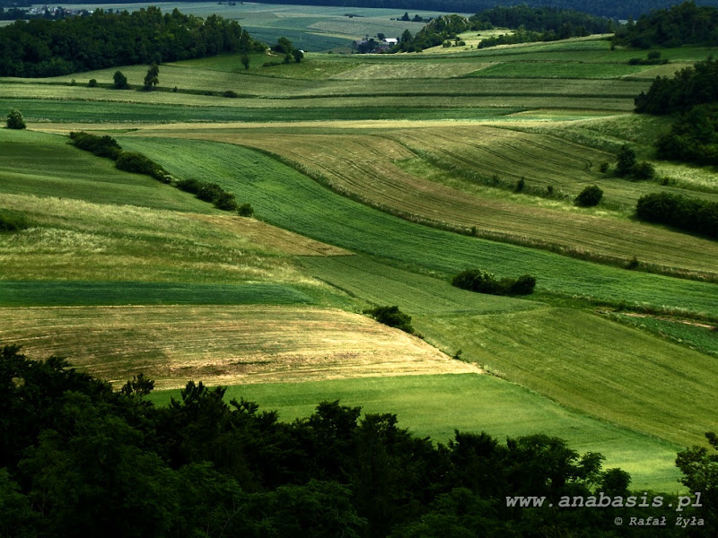 Przejdź do galerii.