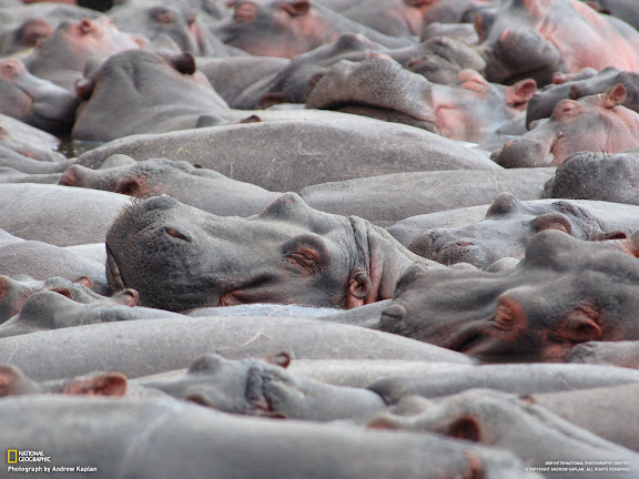  National Geographic
