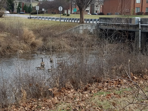 Park «Brown Park», reviews and photos, Kresge Way & Browns Lane, St Matthews, KY 40207, USA