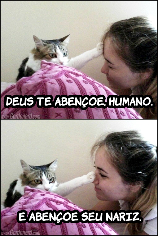 deusteabencoehumano Bênção felina