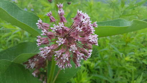 Nature Preserve «Hickory Knolls Discovery Center», reviews and photos, 3795 Campton Hills Drive, St Charles, IL 60175, USA