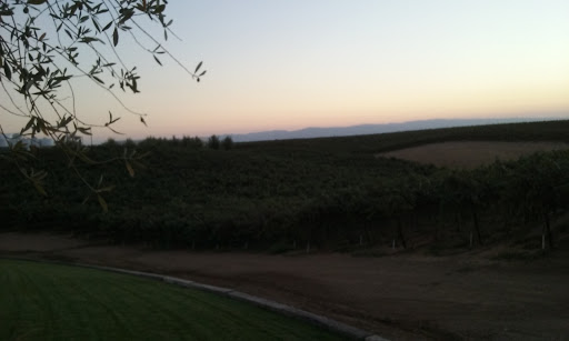 Winery «Matchbook Wine Company», reviews and photos, 12300 County Rd 92B, Zamora, CA 95698, USA
