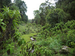Stop en route to Sanetti Plateau