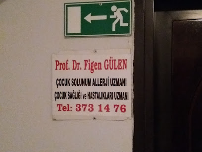 Prof.Dr. Figen Gülen