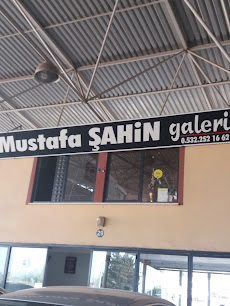 Mustafa Şahin Galeri
