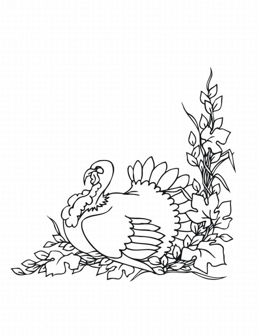 Coloring Pages DLTK's Crafts for Kids