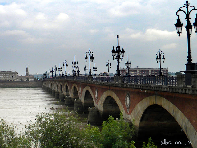 le pont © Alba Nature Le Pont