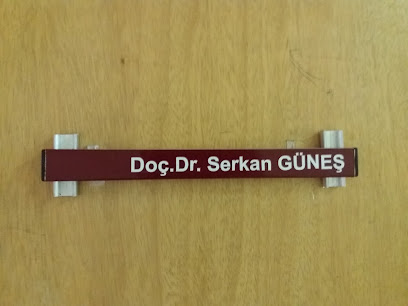 Prof. Dr. Serkan Güneş